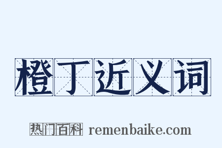 橙丁近义词是什么意思的图片